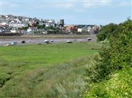 Bideford town viewed across an expanse of saltmarsh
